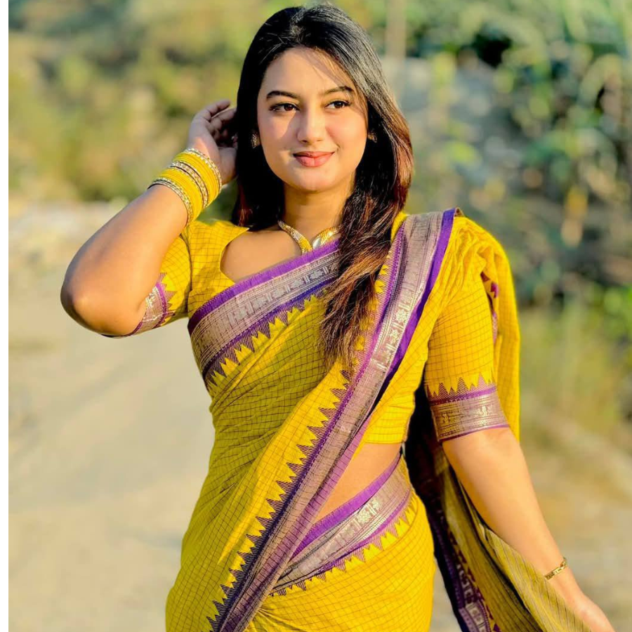 Elegant Traditional Saree