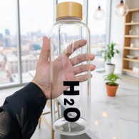 H2O Glass Water Bottle Premium Eco Friendly Drink Bottle