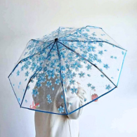 Transparent Umbrella (22 Inch, Folding)